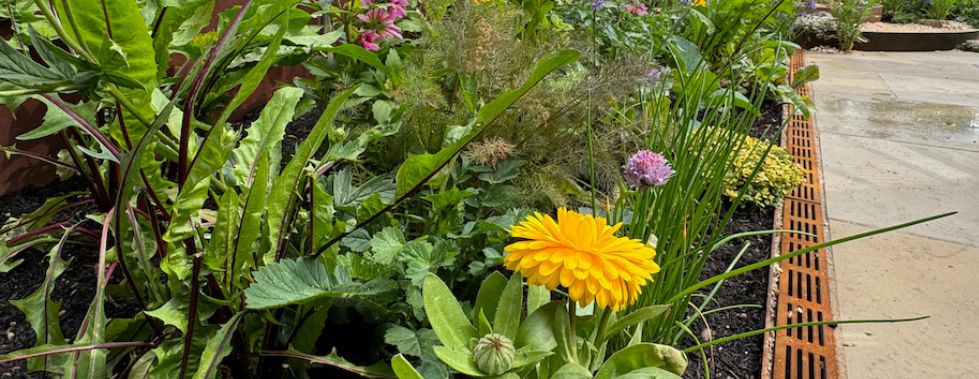 ACO Threshold Drain in Lunatica Garden at Gardeners World Live