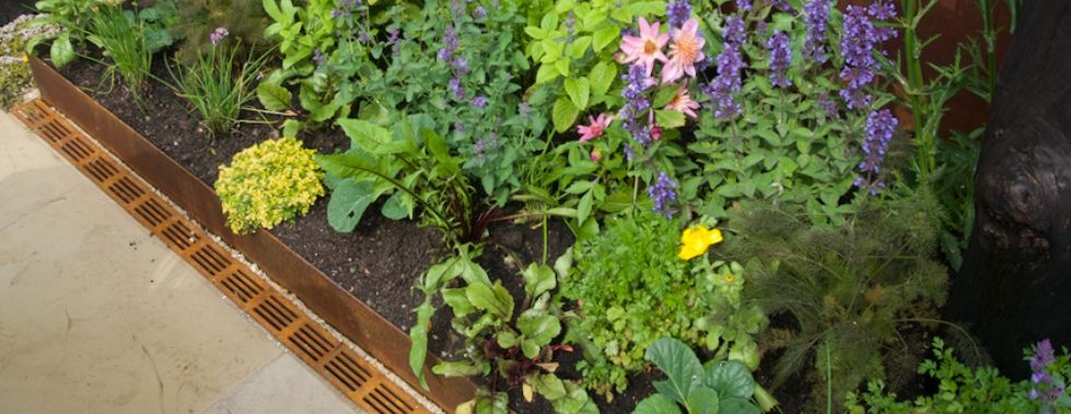 ACO Threshold Drain in Lunatica Garden at Gardeners World Live